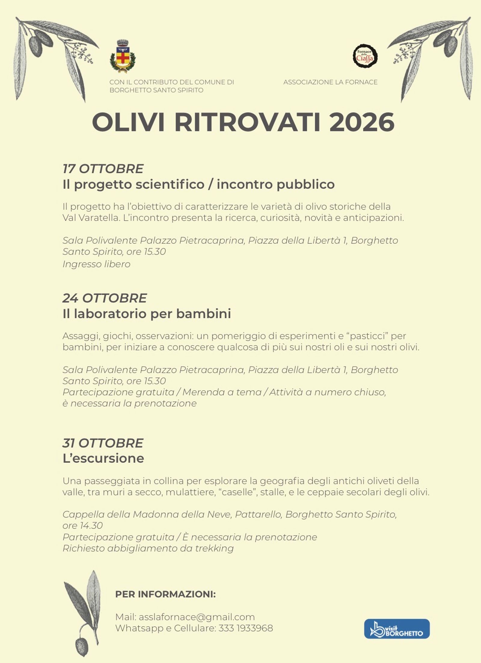 OLIVI RITROVATI 2026 – The excursion