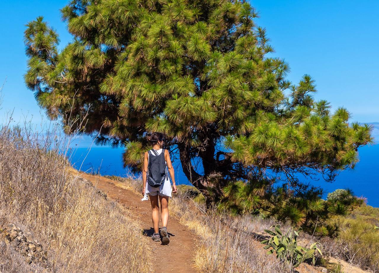 Trekking & scenic trails