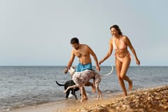 Paws on Tour – A Walk with Our Dog Friends