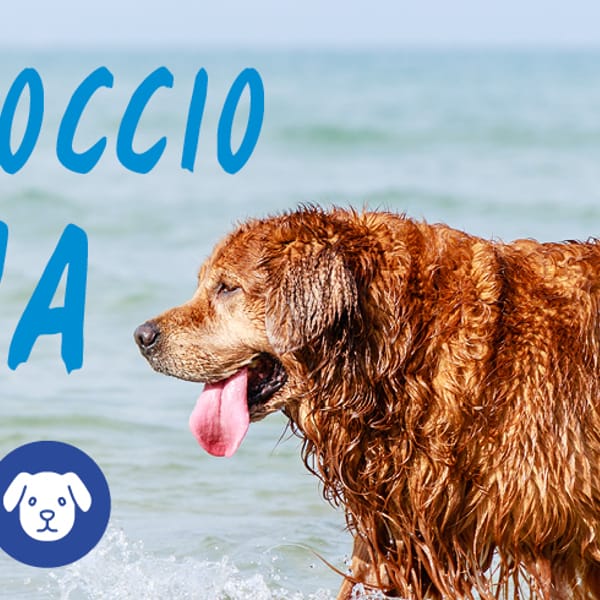 PRIMO APPROCCIO ALL’ACQUA