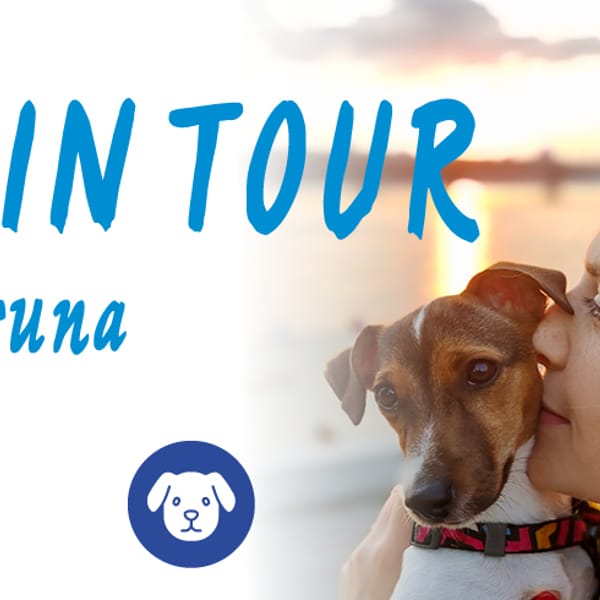 ZAMPE IN TOUR – IN RICORDO DI BRUNA