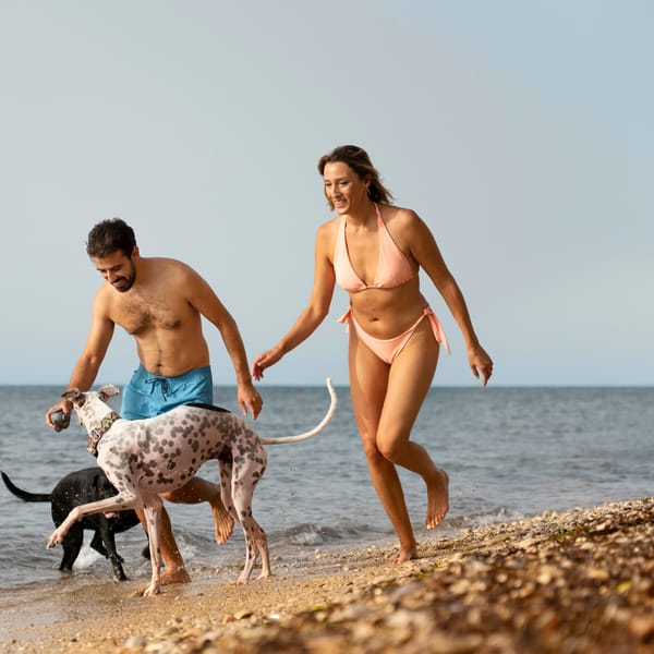 Passeggiata con i nostri amici cani