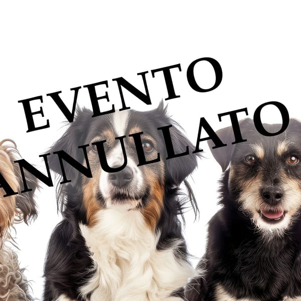 II Treffen für Straßenhunde