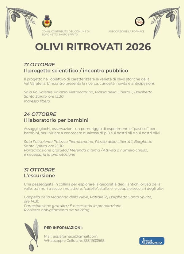 OLIVI RITROVATI 2026 – The excursion