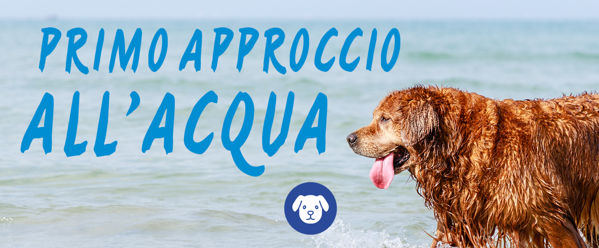 PRIMO APPROCCIO ALL’ACQUA
