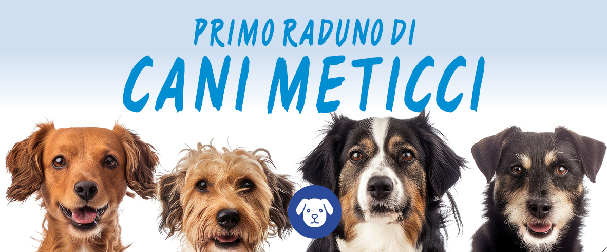 I° RADUNO DI CANI METICCI