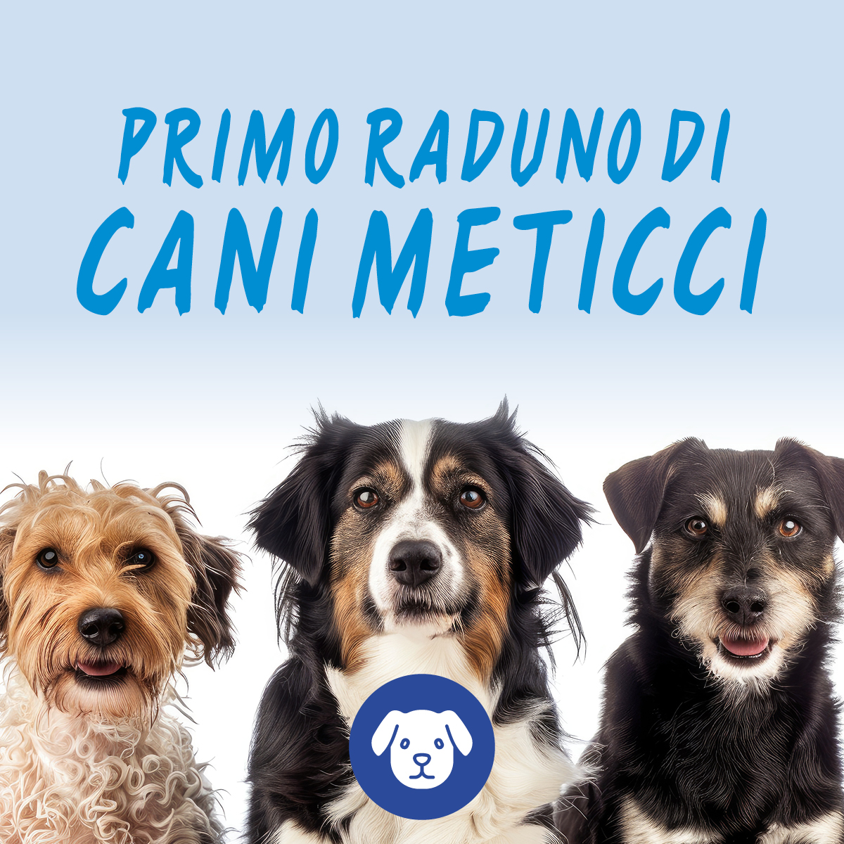 I° RADUNO DI CANI METICCI