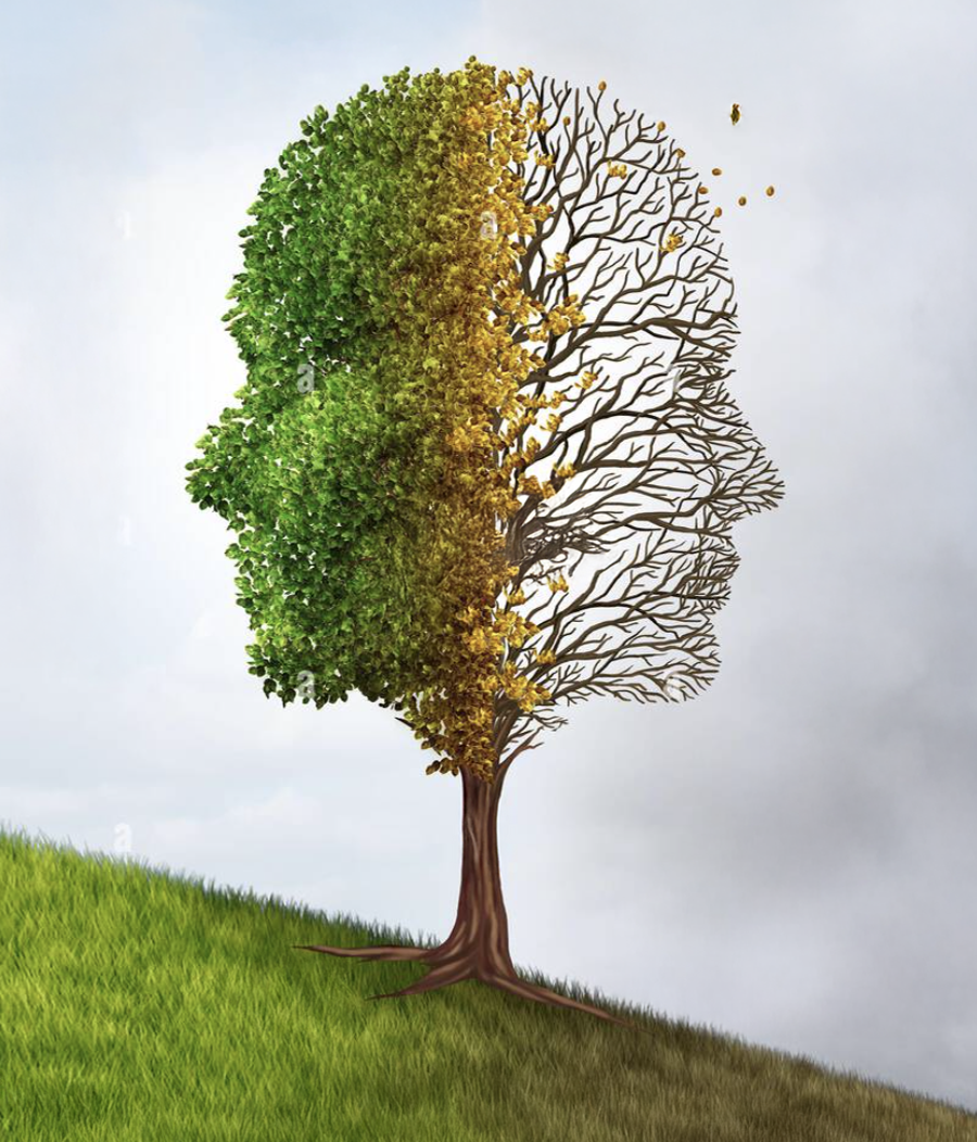 Dove va la memoria? Cos’è la memoria, come cambia, decadimento o demenza? Stili di vita per migliorare, ci sono esercizi per rinforzarla? Incontro a cura del Prof. Giuliano Bono